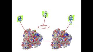 Structure Based Drug Design  Molecular Docking [upl. by Nicolina756]