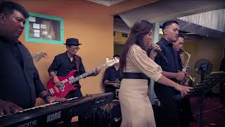 wedding purbalingga juni 2024 bandwedding music weddingband weddingpurwokerto band cover [upl. by Marjory447]