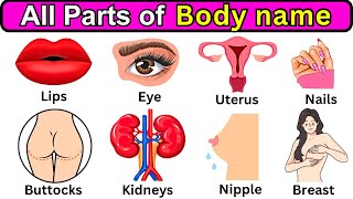 Parts of the Body in English  Listen And Practice  Basic Parts of Body learnenglish bodyparts [upl. by Asiled347]