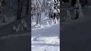 not even that much snow Josh Gold in dream land blackcrows skiing [upl. by Vijar]