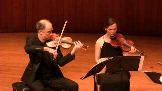 Matthijs van Dijk quotrage rage against thequot Signum Quartet [upl. by Harve]