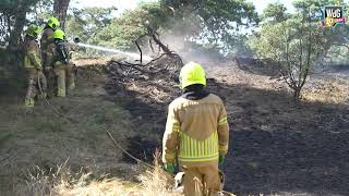 Brandweer en politie doven natuurbrand aan Geuzendijk [upl. by Nivrag]