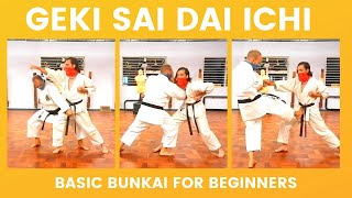 Basic Geki Sai Dai Ichi Bunkai for Goju Ryu Beginners [upl. by Orthman]