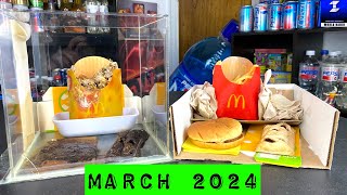 3 Year and 10 Months Old McDonald’s Food [upl. by Eoin]