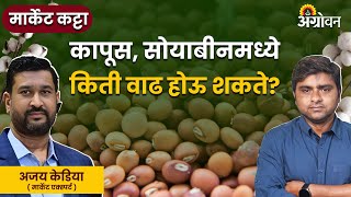 Cotton Soybean Market कापूस सोयाबीनच्या भावात कधीपासून वाढ होऊ शकते  Agrowon  Market Katta [upl. by Tnerb]