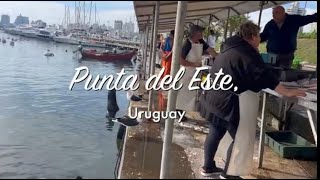 Découverte de la belle Punta del Este en Uruguay prochaine étape de lOcean Globe Race [upl. by Arednaxela]