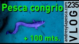 PESCA DE CONGRIO Y BROTOLA  SPYDRO quotNIKO MALLORCAquot [upl. by Yejus]