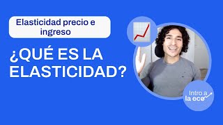 ¿QUÉ ES LA ELASTICIDAD Elasticidad precio ingreso y precio cruzada de la demanda y la oferta [upl. by Nahgam959]