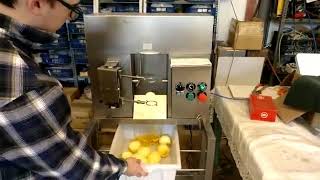 Orange Peel Industrial zesting video 1497988546 [upl. by Ahselrak956]