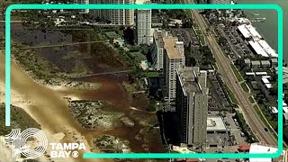 Hurricane Idalia aftermath Clearwater Beach [upl. by Haziza]