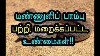 மண்ணுளிப் பாம்பு பற்றி மறைக்கப்பட்ட உண்மைகள்Manuli Snake  Tamil Info 20 [upl. by Niffirg]