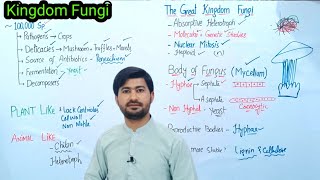 81 Kingdom Fungi  Introduction of Fungi  Body of Fungi Fsc Biology class 11 [upl. by Dlonra]