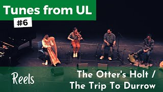 Tunes From UL 6  The Otters Holt The Trip To Durrow Reels 🎶☘️ [upl. by Carleen72]