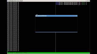 Very basic X11 window from scratch [upl. by Sanalda308]