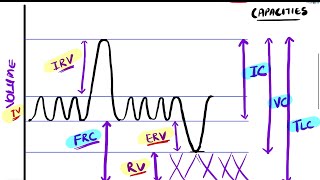 Pulmonary Function Tests Part 1a  Respiratory Physiology [upl. by Yevol108]