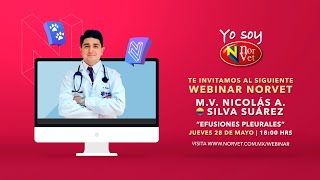 WEBINAR NORVET  Conferencia quotEfusiones pleuralesquot MV Nicolás Alejandro Silva Suárez [upl. by Eadrahs]