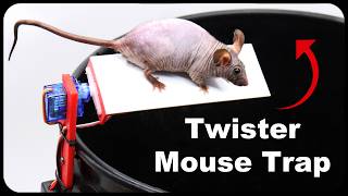 The Twister Mouse Trap  A totally new way of catching mice  Invented by a YouTube viewer [upl. by Seadon834]