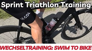 Triathlon Training  Sprint Distanz Simulation Swim  Bike [upl. by Karee882]