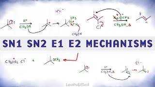 SN1 SN2 E1 E2 Reaction Mechanism Overview [upl. by Yeuh]