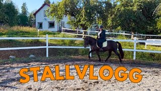 STALLVLOGG  EN HELT VANLIG DAG MED HÄSTARNA [upl. by Ferrell]