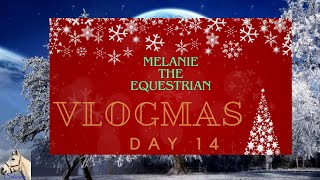 Advent Calendar Puzzle 14Horses amp Barn Cats In The Month Of November 2023 Vlogmas Day 14 [upl. by Juna802]