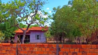 VENDE SE ESTA CASA NO POVOADO MOCÓS TERRENO MEDINDO 20X80 A 15 KM DE ESPERANTINA PIAUÍ [upl. by Auhesoj]