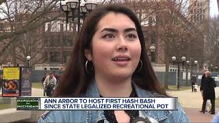 2019 Hash Bash expected to attract a huge crowd to Ann Arbor [upl. by Nannoc]