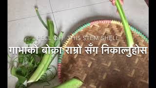 Karkalo ko tarkari  taro stem curry recipe in Nepali style  कर्कलो  पिंडालुको साप्रोको तरकारी [upl. by Nuawtna]