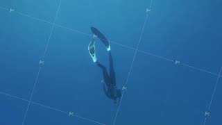 Professional diver dives into depths of ocean by moving fins [upl. by Varney]