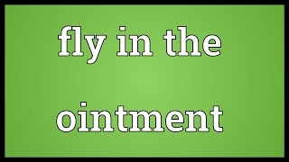 Fly in the ointment Meaning [upl. by Eahsal]