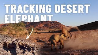 Finding Namibias DESERT ELEPHANTS S5  Eps 56 [upl. by Ilek]