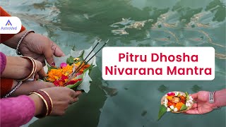 Pitru Dosha Nivarana Mantra  Om Sarva Pitru Devataabhyo Namaha  Pitru Devatha Mantra 108 Times [upl. by Kristofer327]