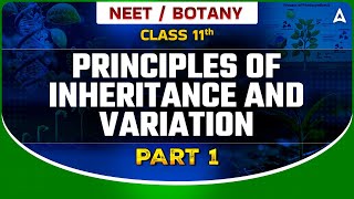 PRINCIPLES OF INHERITANCE AND VARIATION CLASS 12  NEET 2024  DRONA 20  BOTANY BY SANKALP BHARAT [upl. by Cope]