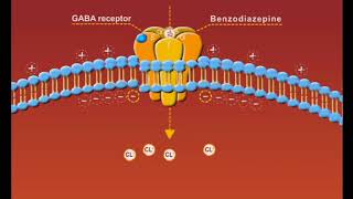 Benzodiazepines animation sedatives and hypnotics [upl. by Eimiaj]