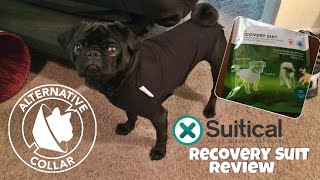 Suitical Recovery Suit Review feat Bear [upl. by Innavoj]