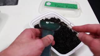 Quick and Easy way to pack Tangiers Hookah Tobacco [upl. by Enneite825]