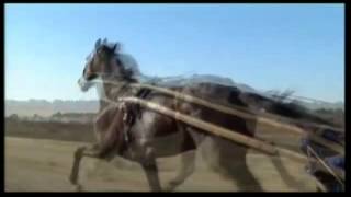 Varenne un atleta chiamato cavallo  TRAILER [upl. by Suhsoj956]