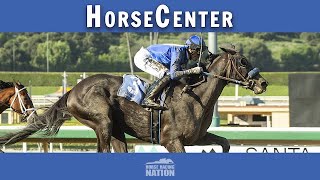 Breeders Cup 2023 longshot picks in all 14 races on HorseCenter [upl. by Bab]