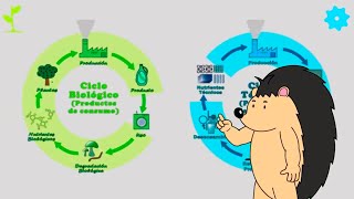 ♻️ 7 EJEMPLOS prácticos de ECONOMIA CIRCULAR El vídeo DEFINITIVO [upl. by Oelgnaed516]