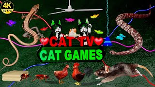 CAT GAMES  ULTIMATE CAT TV COMPILATION  ENTERTAINMENT VIDEO FOR CATS TO WATCH 4K 8HOURS  😺 [upl. by Petite]