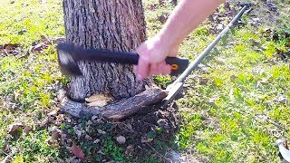 Tree Girdling Root Gently Removed [upl. by Dihgirb]