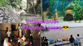 Chandigarh the city of peace 😎  chandigarh ghumne ki jagah [upl. by Atnahs208]