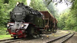 99 6001 mit Rollwagen in Steinerne Renne [upl. by Huang]