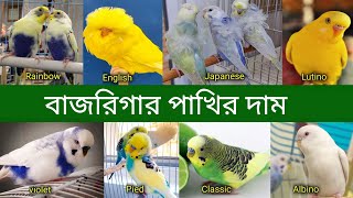 বাজরিগার পাখির দাম 2023 পাখি পালন  Budgerigar Bird price In Bangladesh and India 2023  Grow Life [upl. by Dedie]