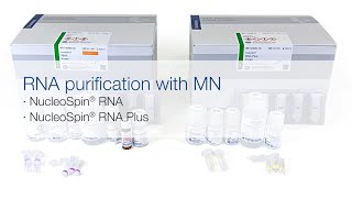 RNA purification with MN – NucleoSpin® RNA and NucleoSpin® RNA Plus [upl. by Greeson853]