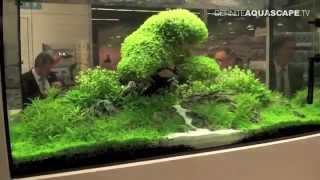 Aquarium ideas from InterZoo 2014 pt32  OASE GmbH [upl. by Enidanreb791]