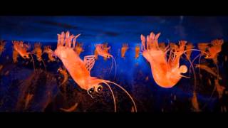 Happy Feet Two  Under Pressure Scene HD [upl. by Akehsal]