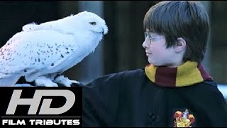 Harry Potter • Main Theme • John Williams [upl. by Anneirda]