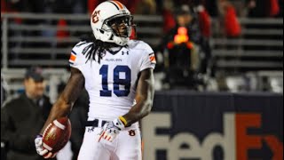 Sammie Coates Auburn Highlights [upl. by Silvan35]