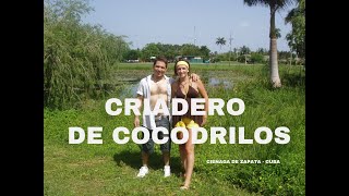 Criadero de cocodrilos Ciénaga de Zapata CUBA [upl. by Dickenson]